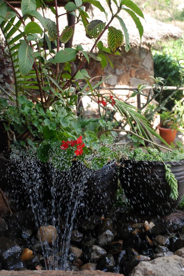 Osoita Lodge Nairobi Eksteriør bilde