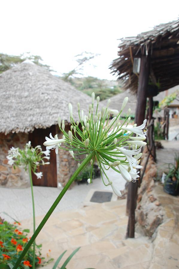 Osoita Lodge Nairobi Eksteriør bilde