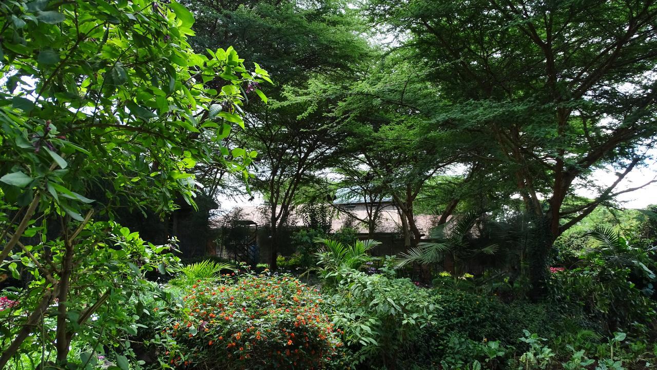 Osoita Lodge Nairobi Eksteriør bilde